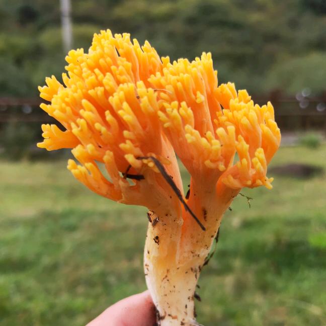 听心音乐🎵🎵🎵