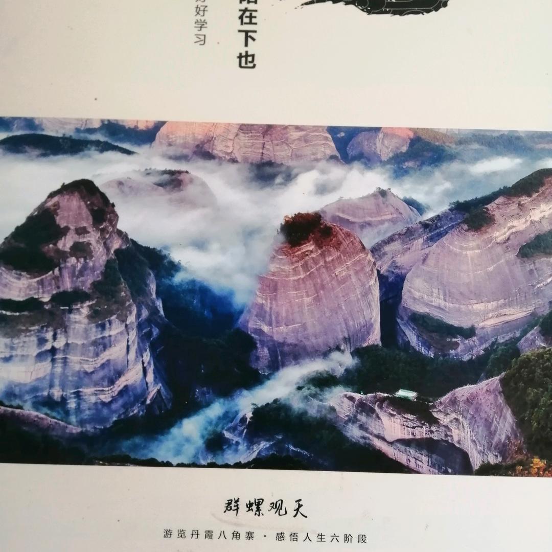 雪山青松