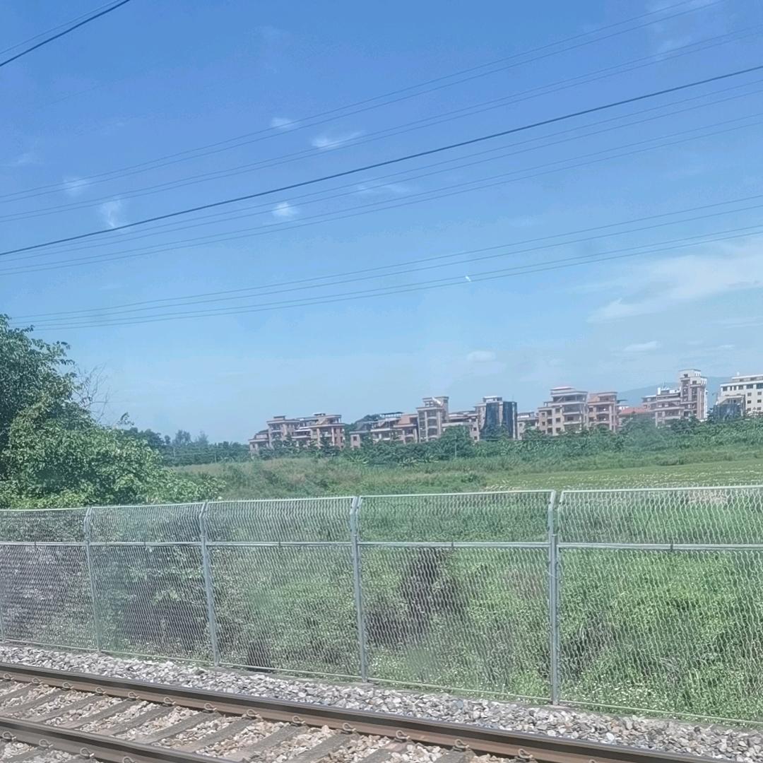 企划教练