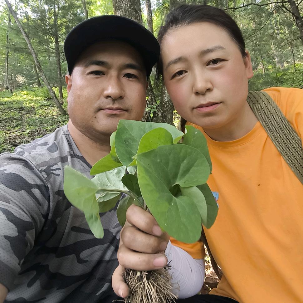 蛟河庆岭山里农产严选