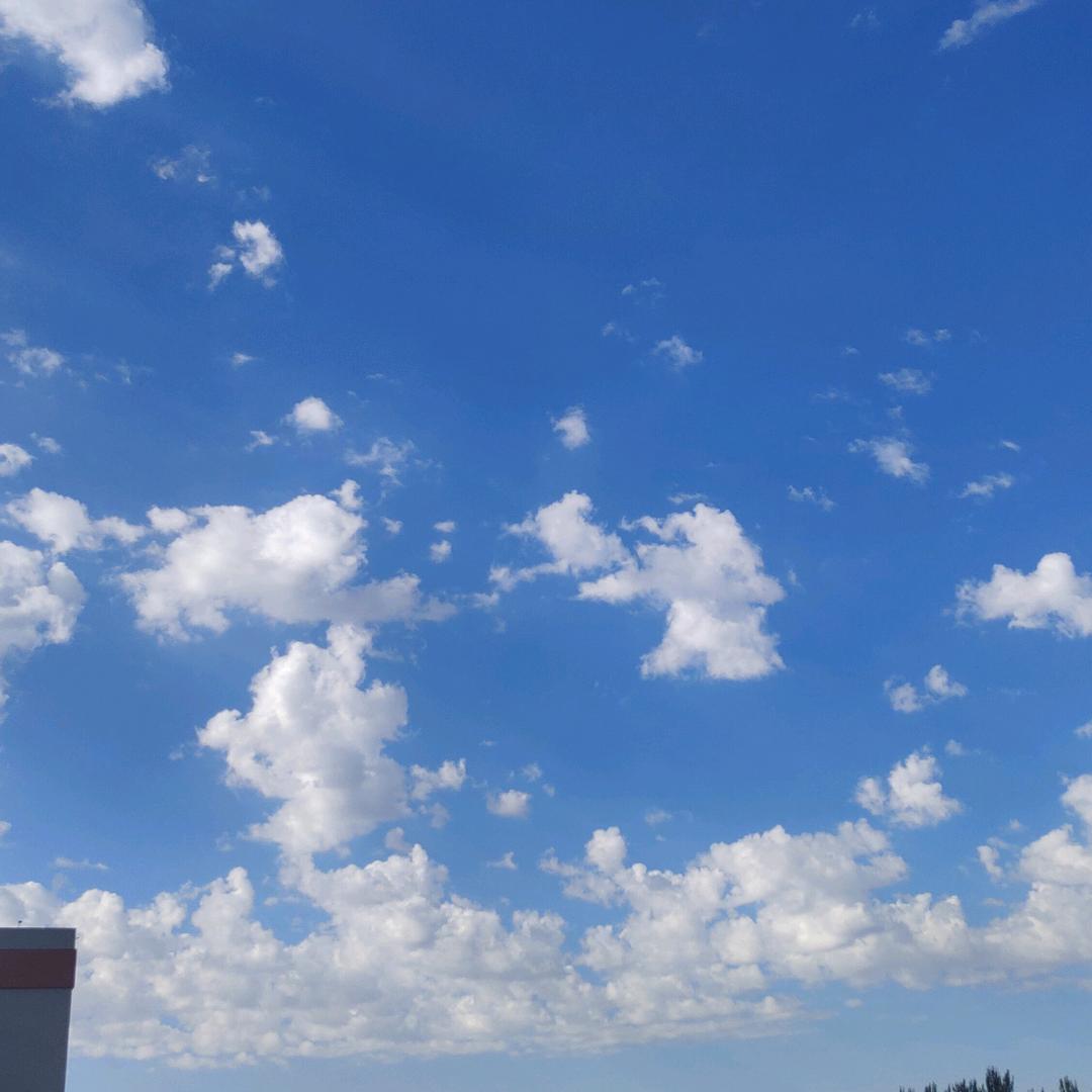 在雨中_247398380