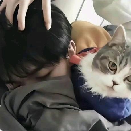 月下（三角洲行动）