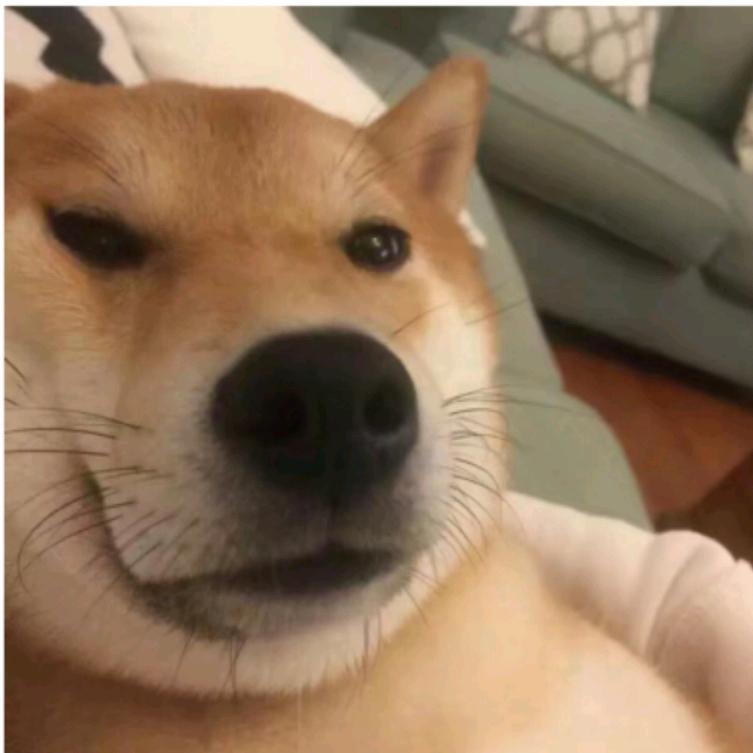 序序序序序丶