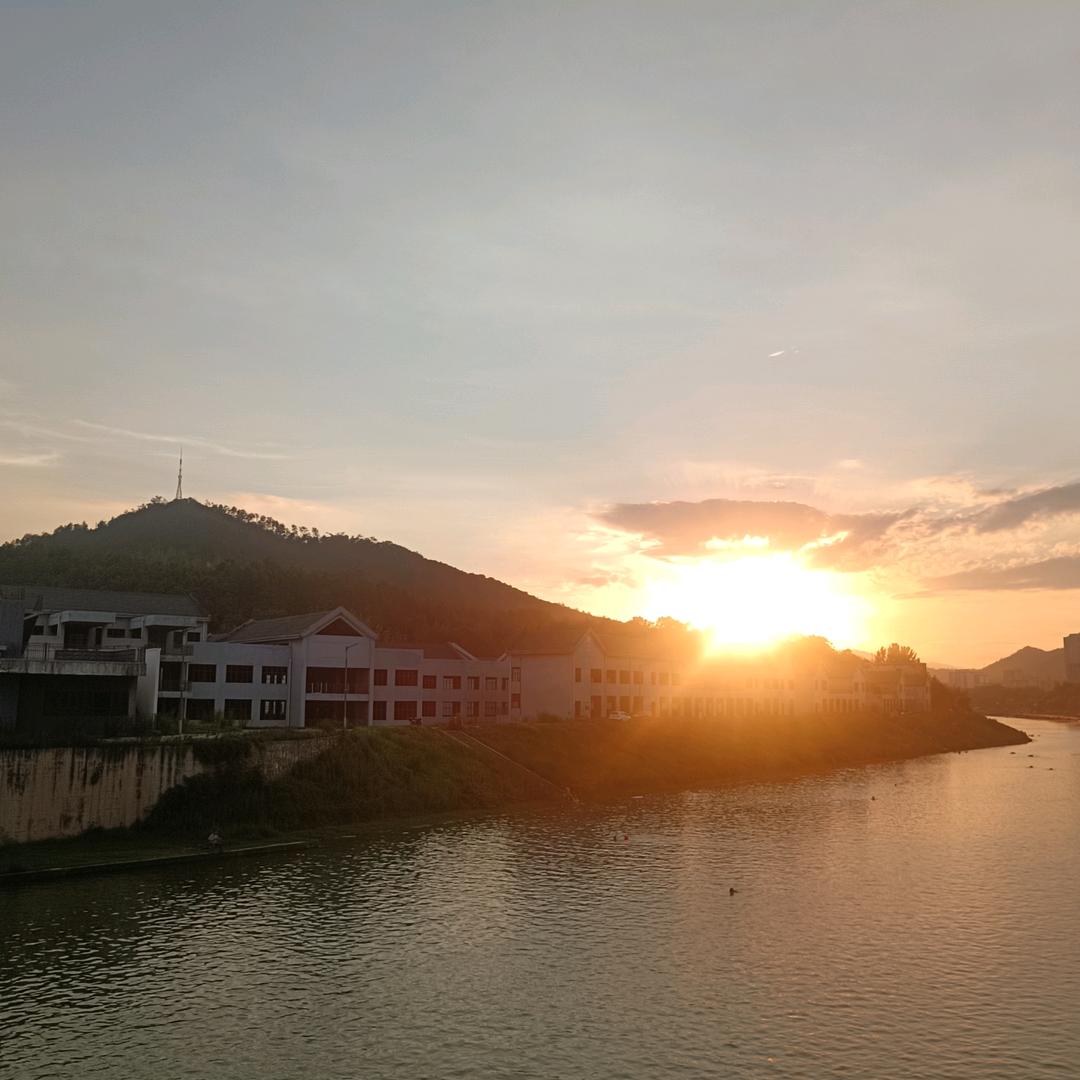 🐬封印 🧜‍♀️