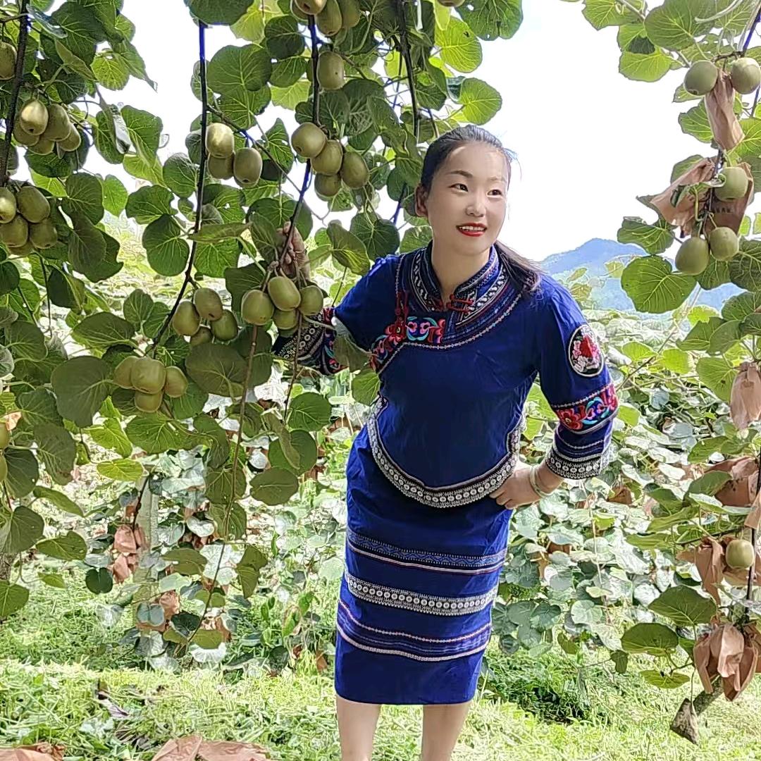努力生活的燕子