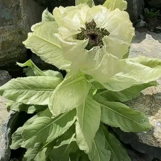 古~月，水电安装