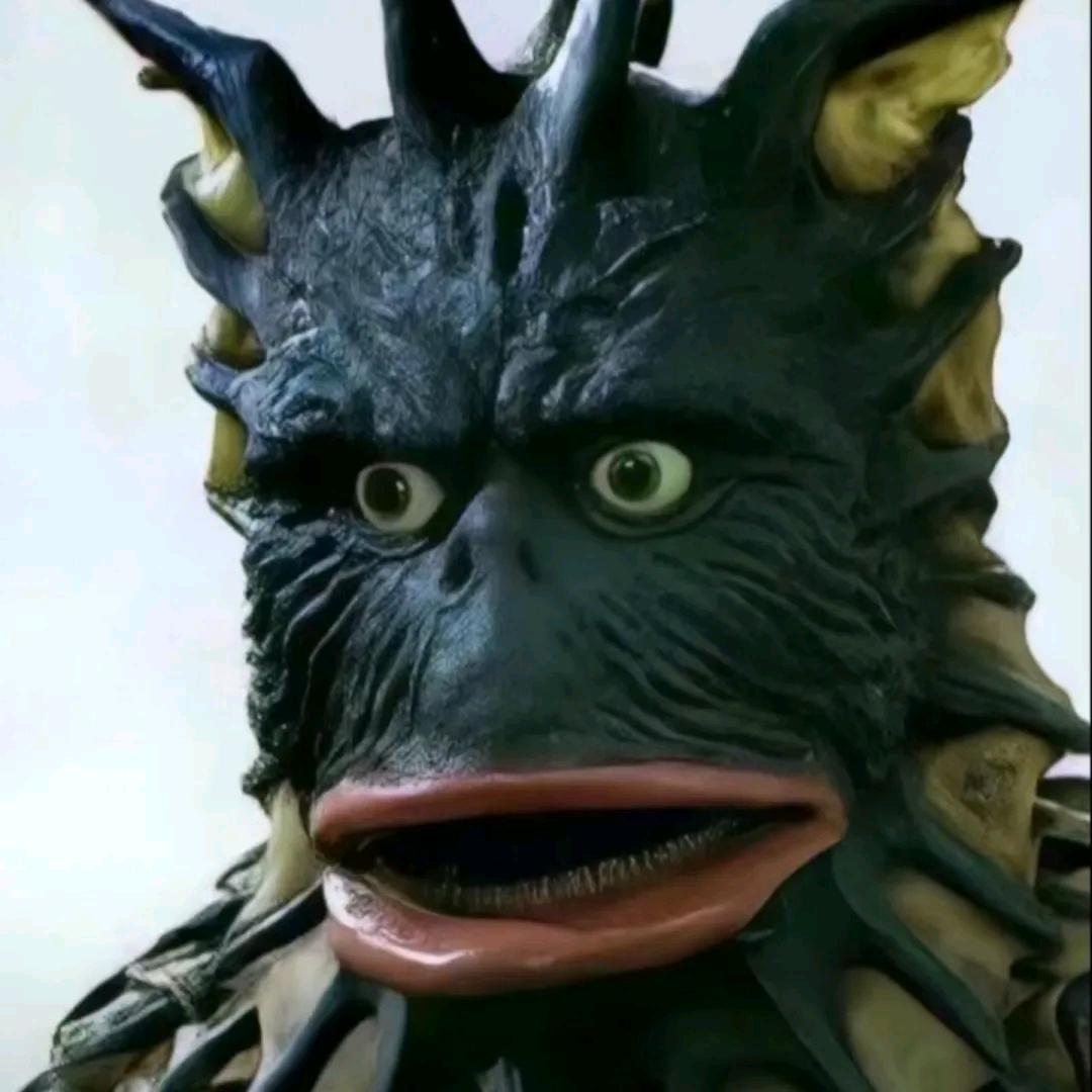 我算这块小饼干zer