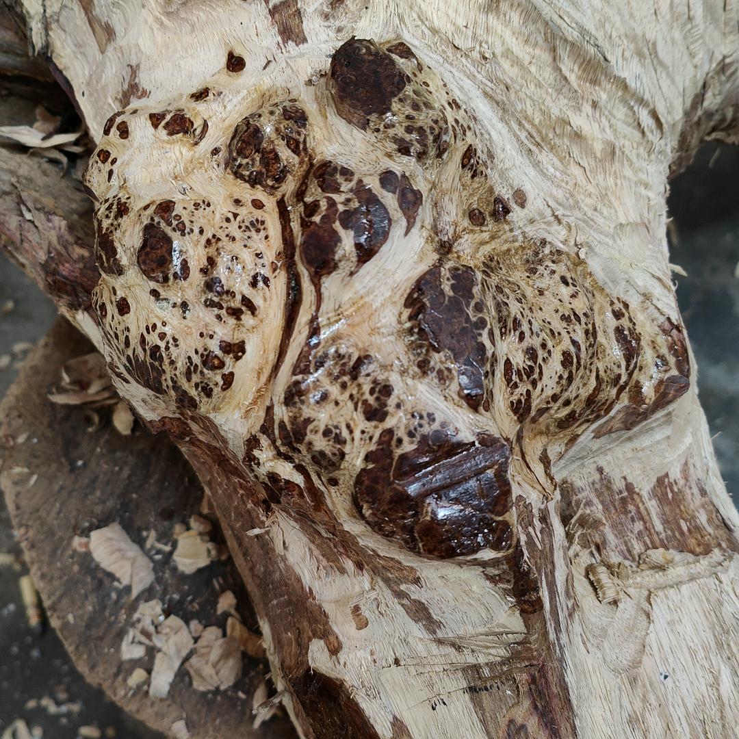 老六海南黄花梨工艺商行