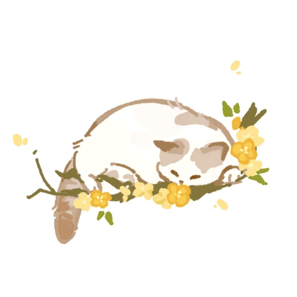 柚（you）