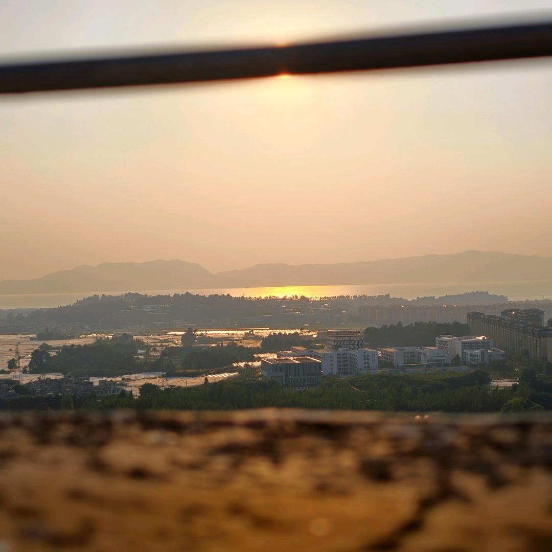 和光同行