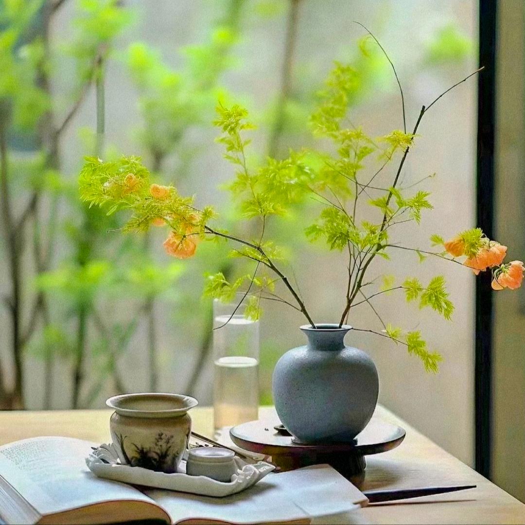 忍冬