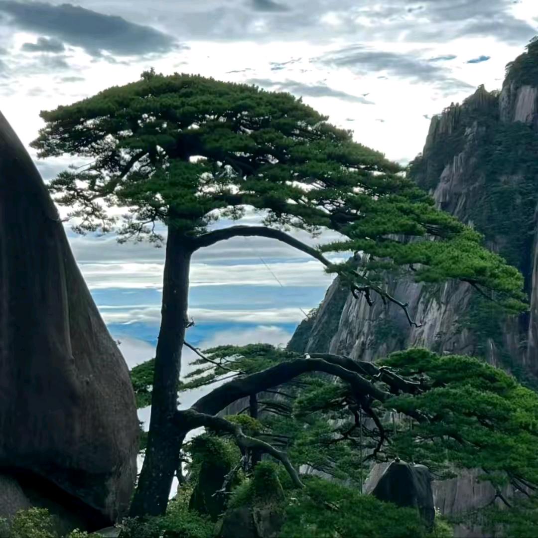 ♠️♥️♣️♦️