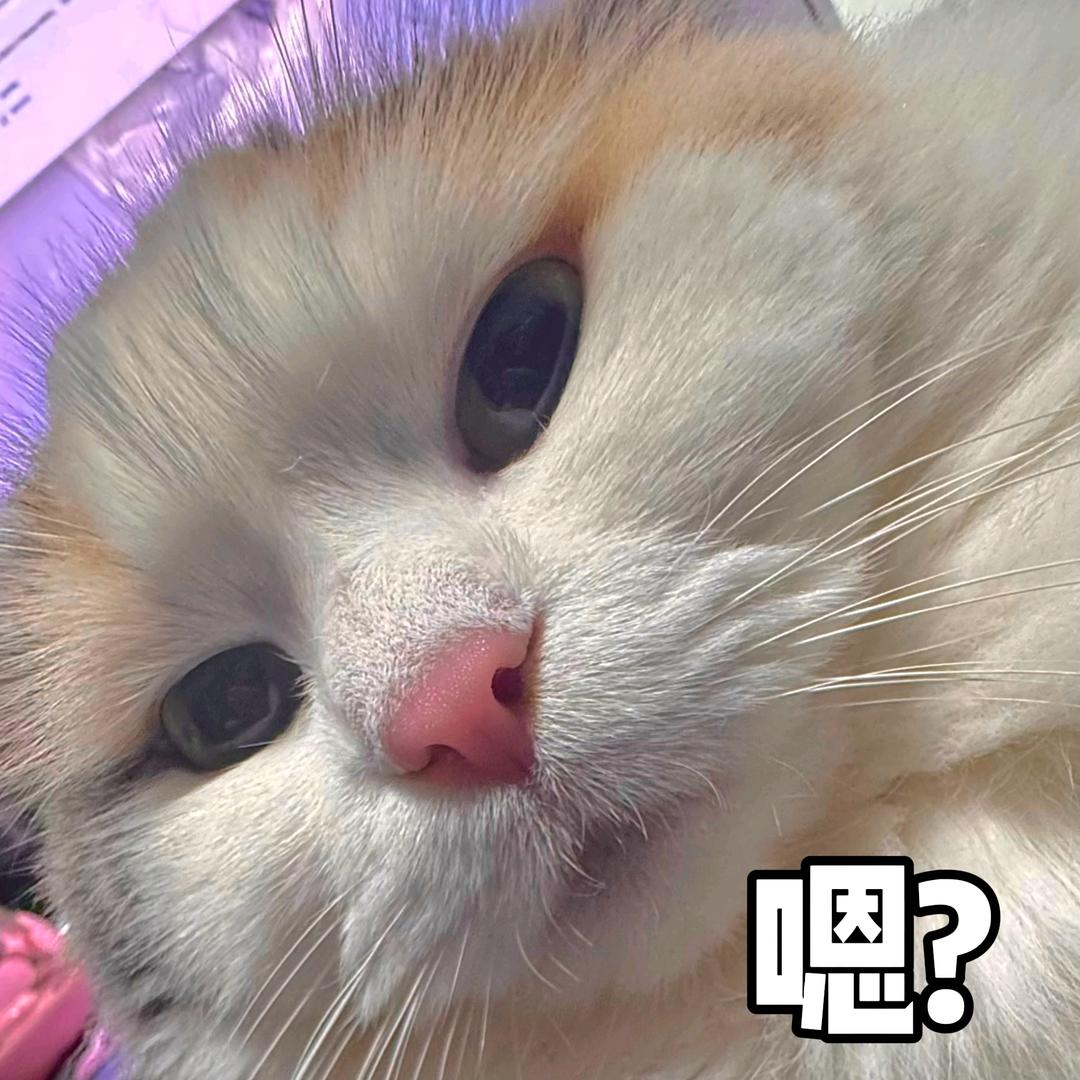 可乐魔兽世界