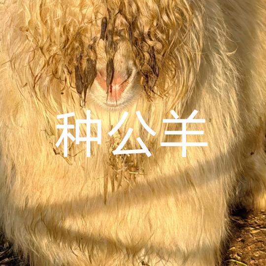 用户3051561950029
