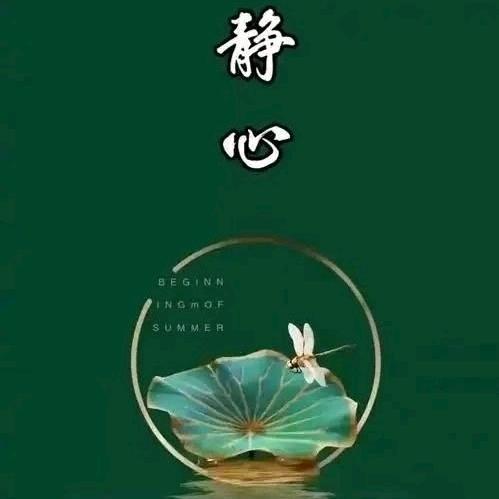 消极迈