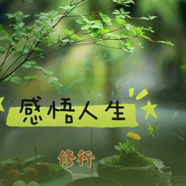 世界因你而精彩