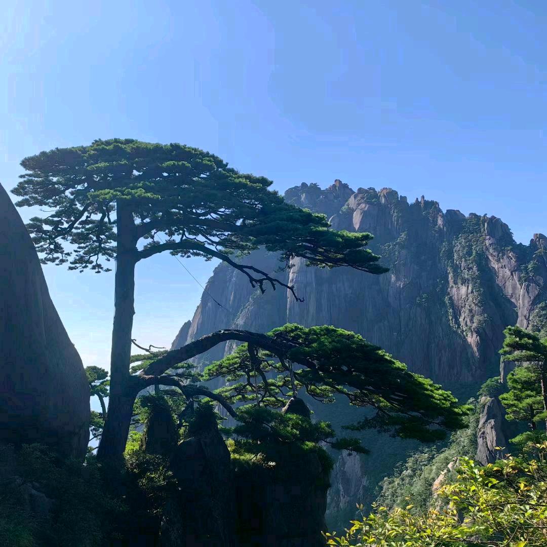 🚬香烟解忧愁。