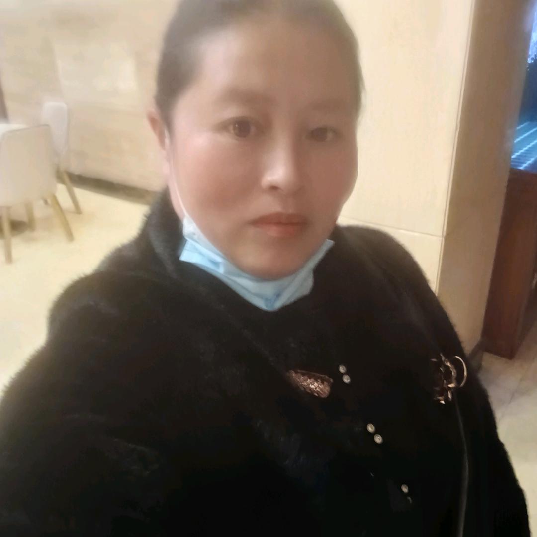 高山朱朱