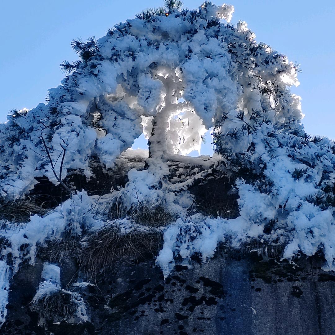 朱罗纪