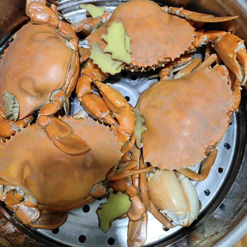 咏妧嘚嗳