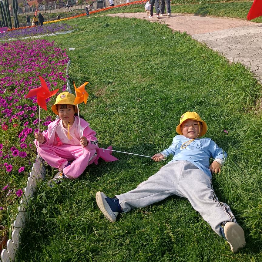 蒲公英123456😂💐🍀🌼🌻