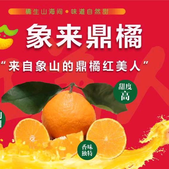 象山鼎橘红美人