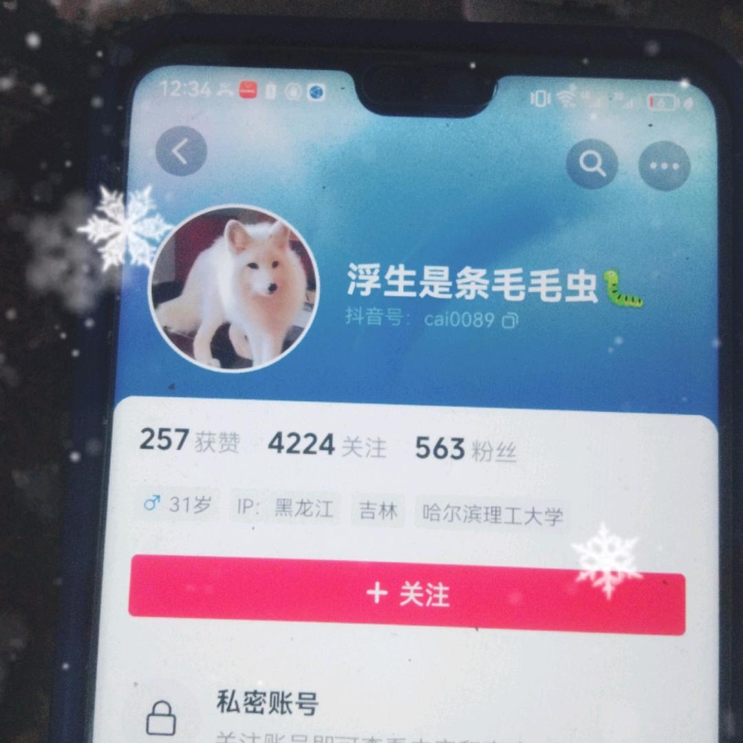 光光就是踹