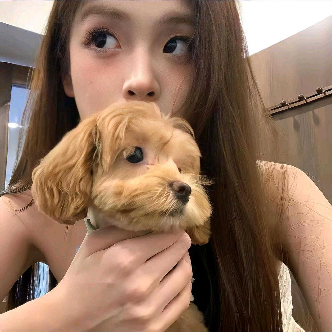 1-小Y.