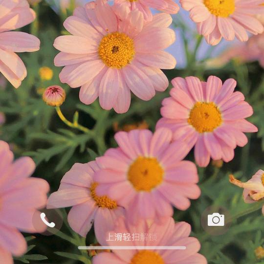 @💕ꦿ冷暖自知꧔ꦿꦿꦿ：💕