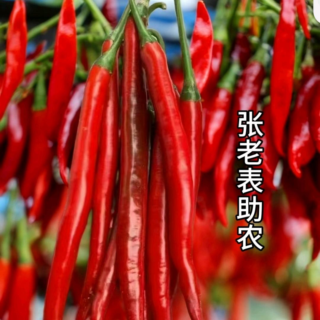 张老表助农优选2号店