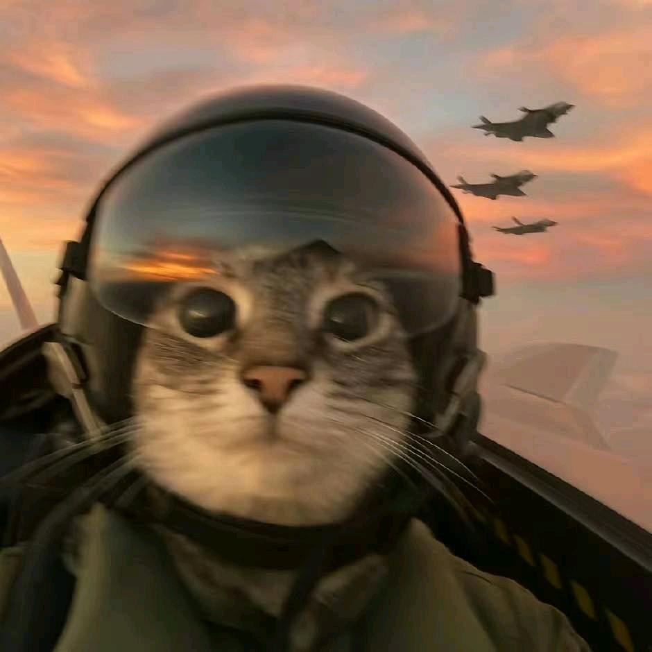 斗星