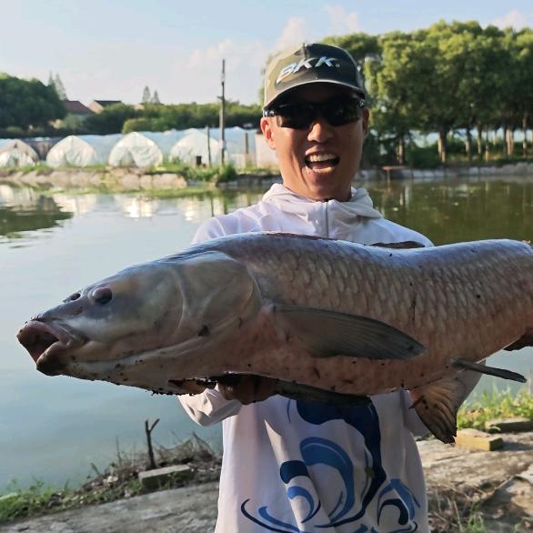 龙城金牛钓鱼🎣