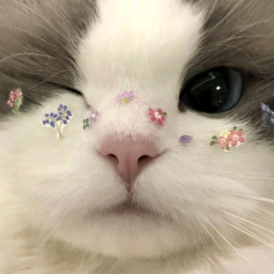 引起妳的注意