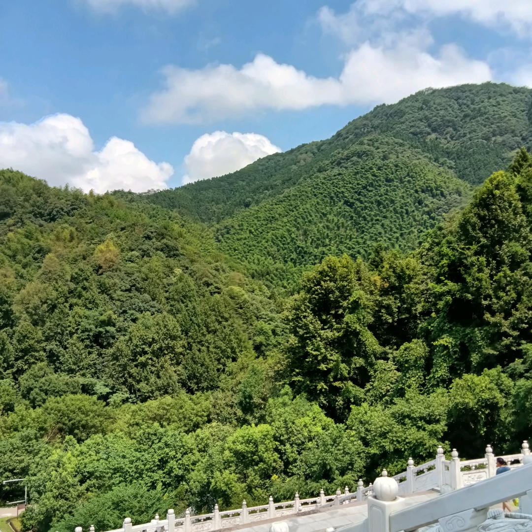 我命由天不由我