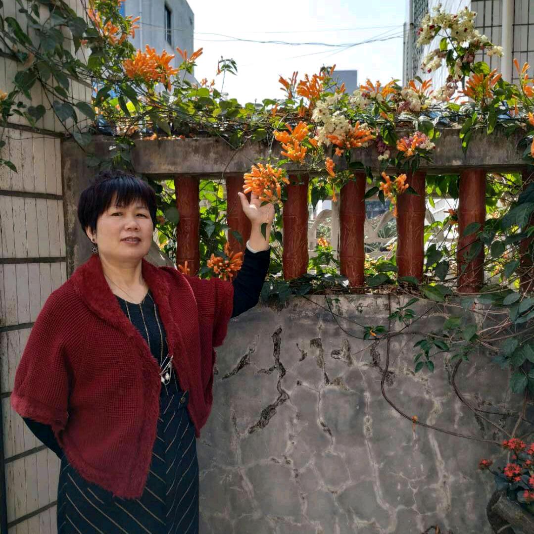风和日麗 🏠