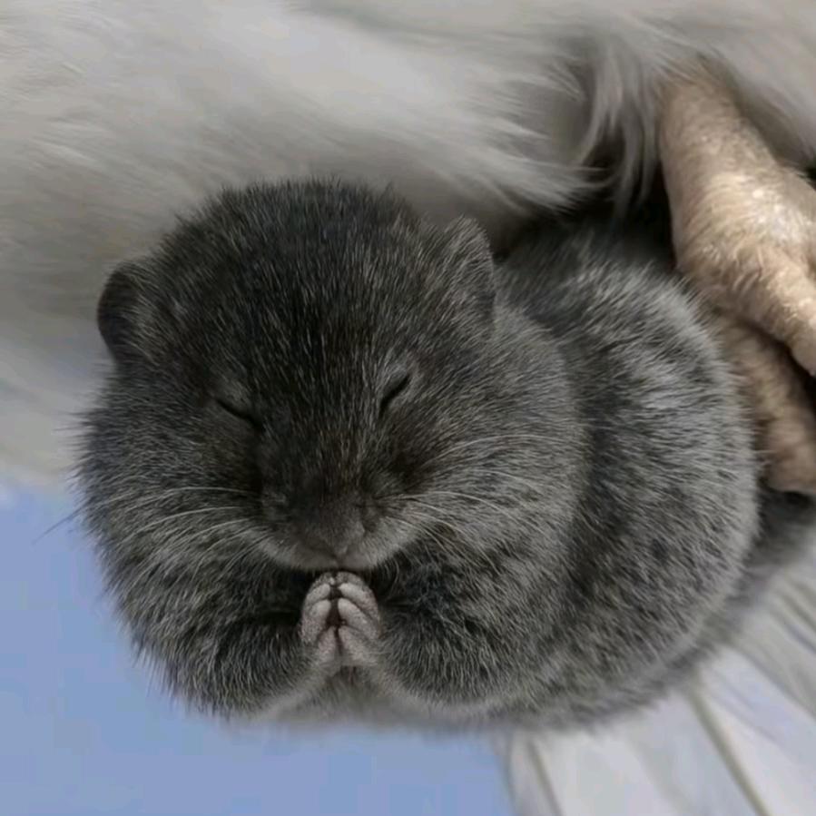 煦～