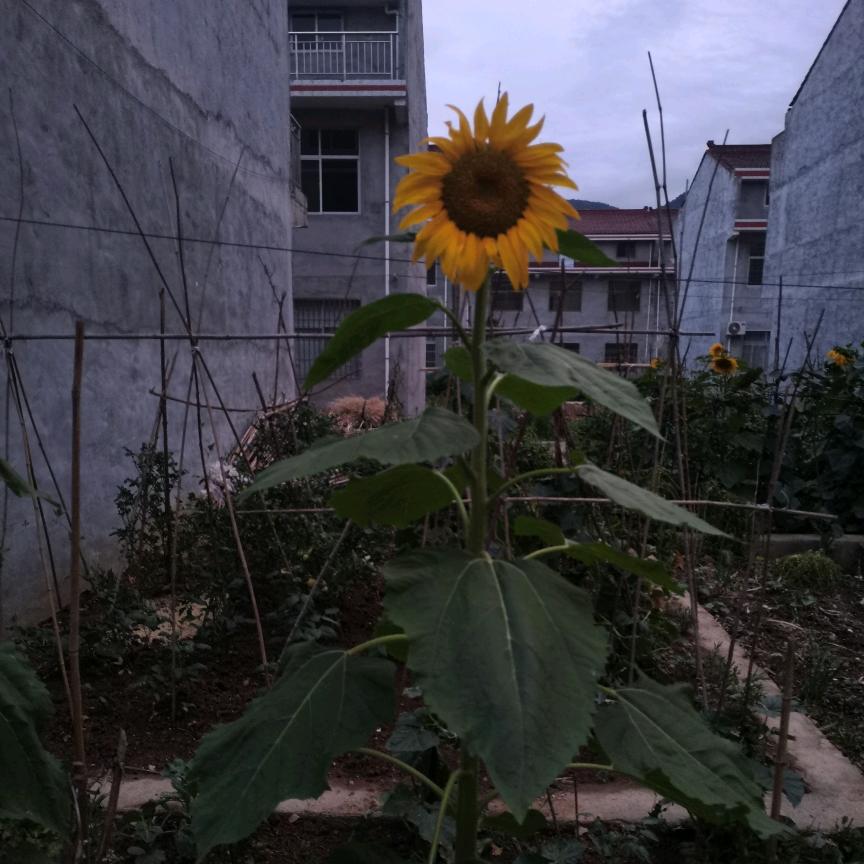 得之坦然，失之淡然。