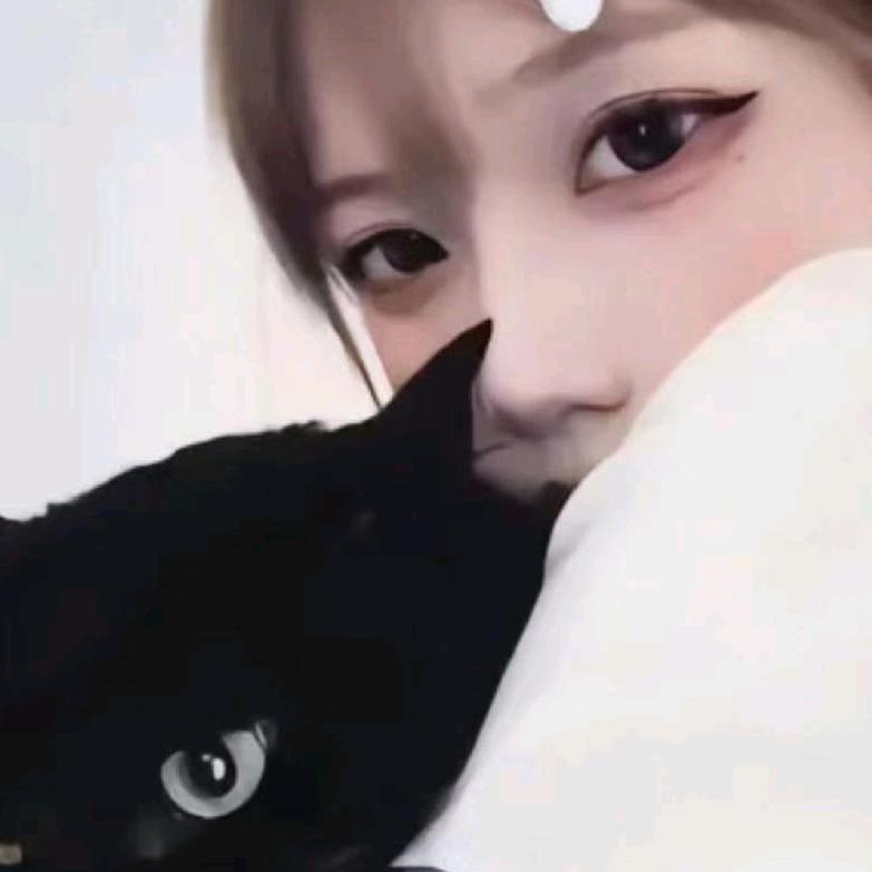 梦琪网游（三角洲行动）