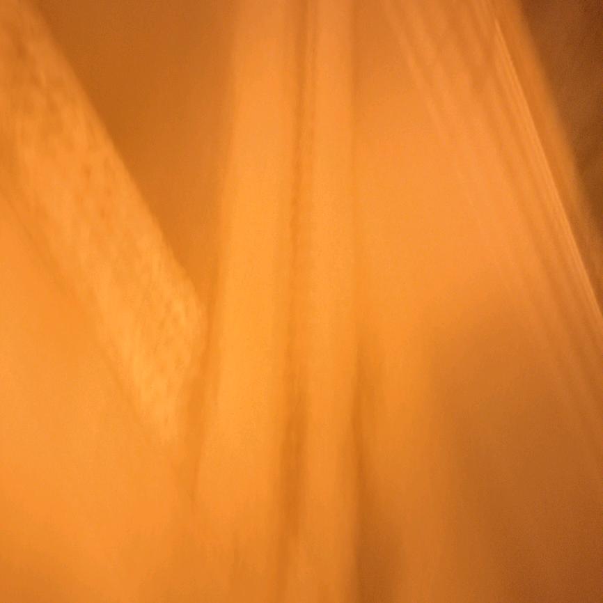 河南抖大妈教直播