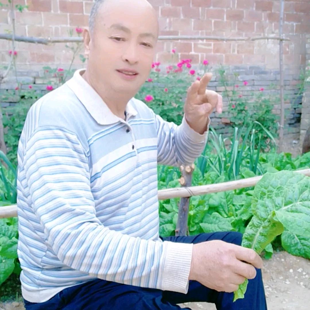 用户87618633