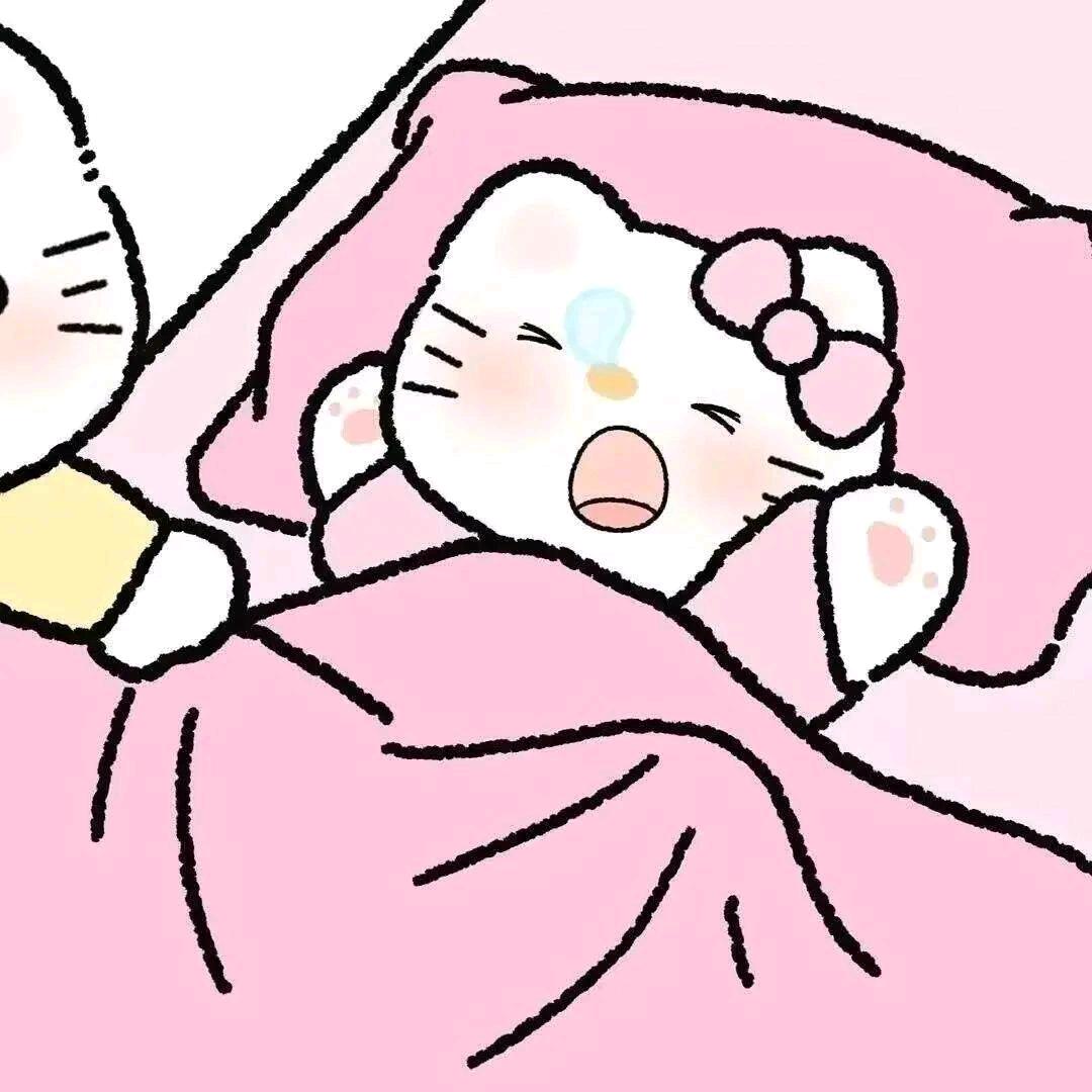 猫圈圈
