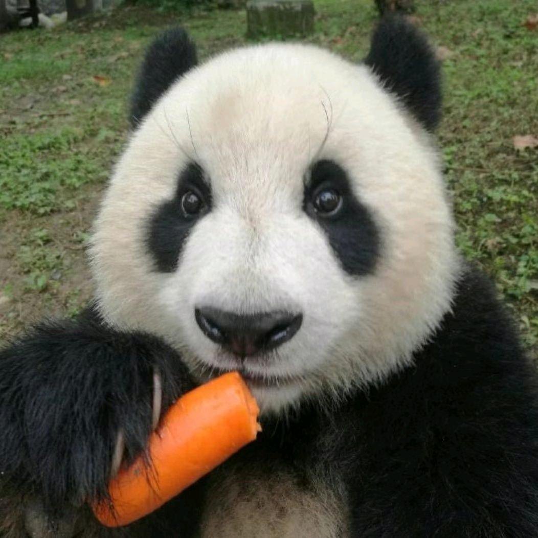 大丈夫之志