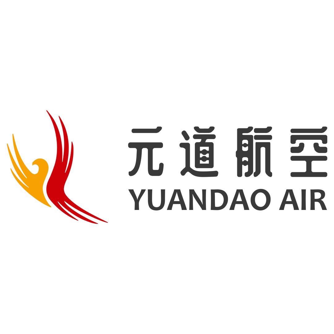 元道(重庆)航空科技有限责任公司官方号