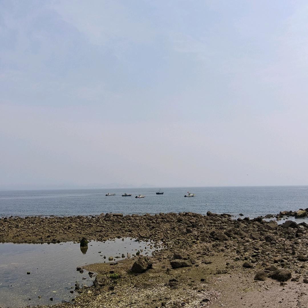 专业拆迁，回收废品