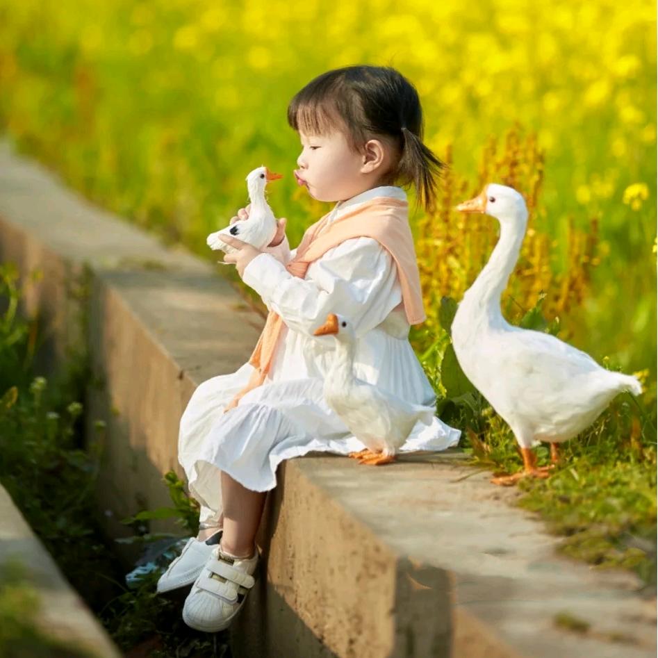 小乖🌸