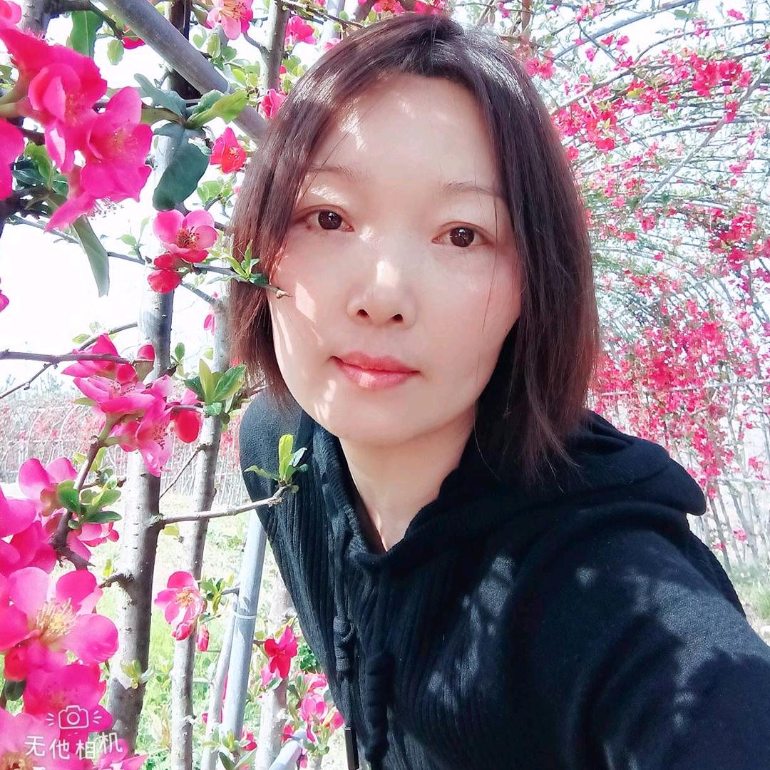 丽君不姓邓