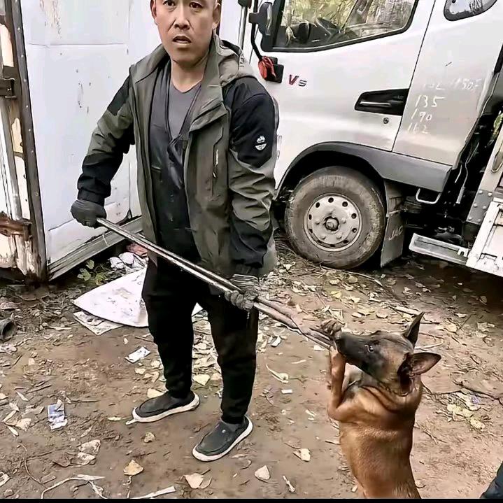 AA专业套狗武师傅