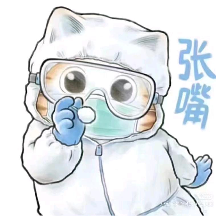 偷你心的人