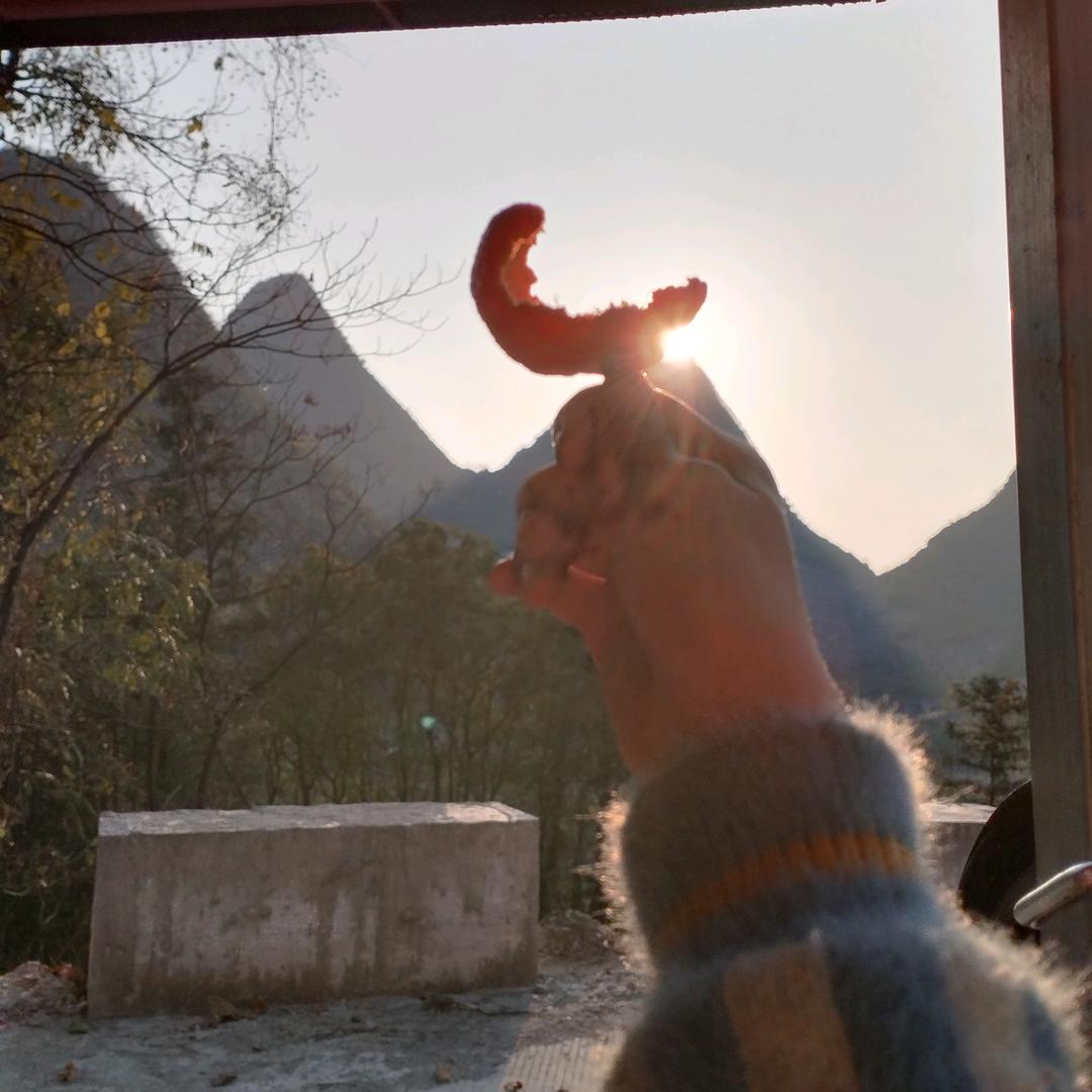 是小可爱丫💃🏻