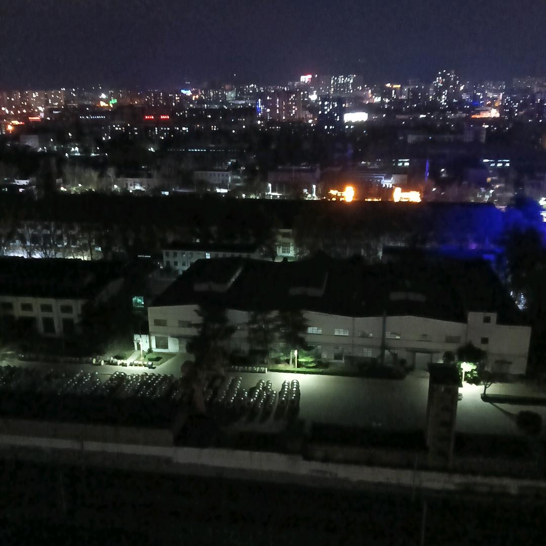 冬瓜